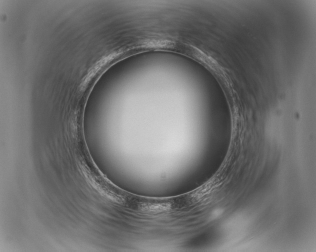 X0000054470155200508011510