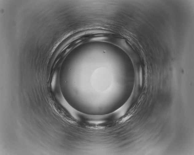 X0000054470156200508011510