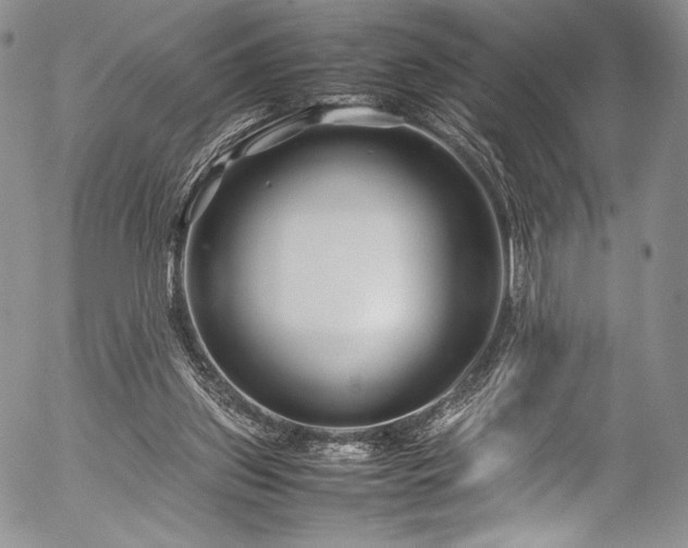 X0000054470157200508011510