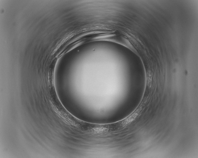 X0000054470158200508011510