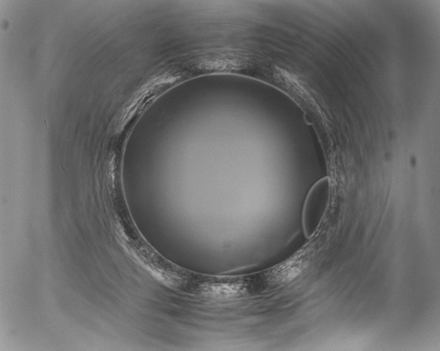 X0000054470163200508011510