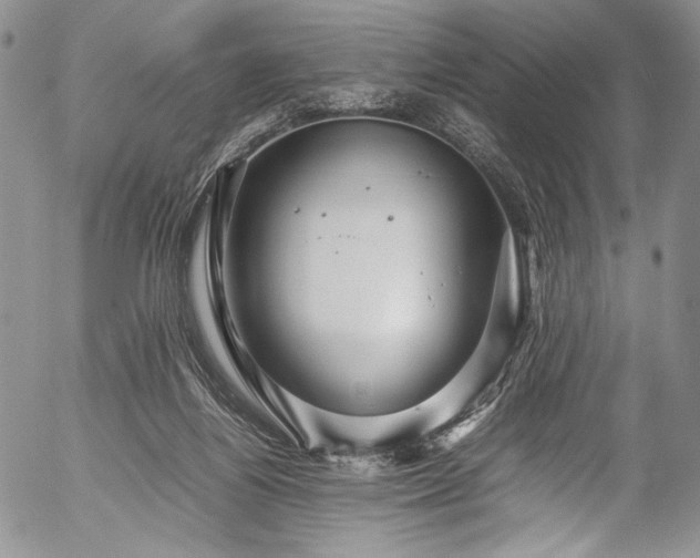 X0000054470164200508011510