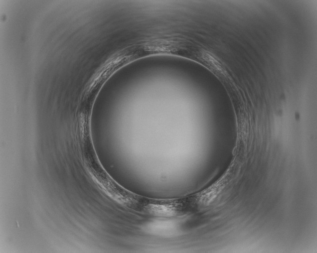 X0000054470167200508011510