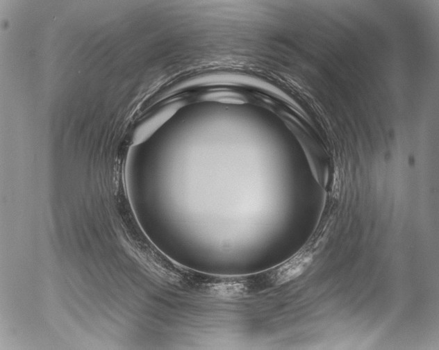 X0000054470168200508011510