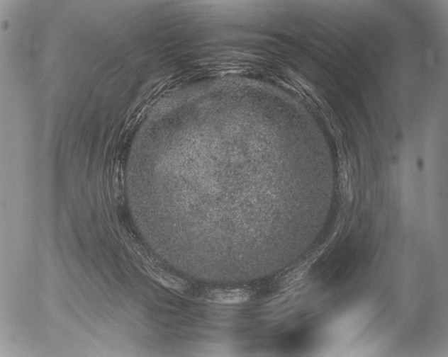 X0000054470169200508011510