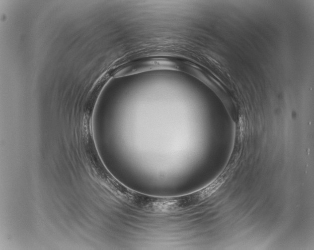 X0000054470172200508011511