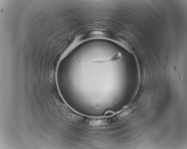 X0000054470177200508011511