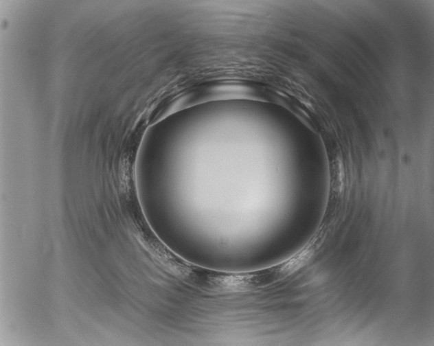 X0000054470184200508011511
