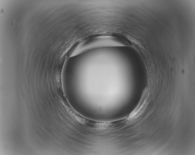 X0000054470192200508011511