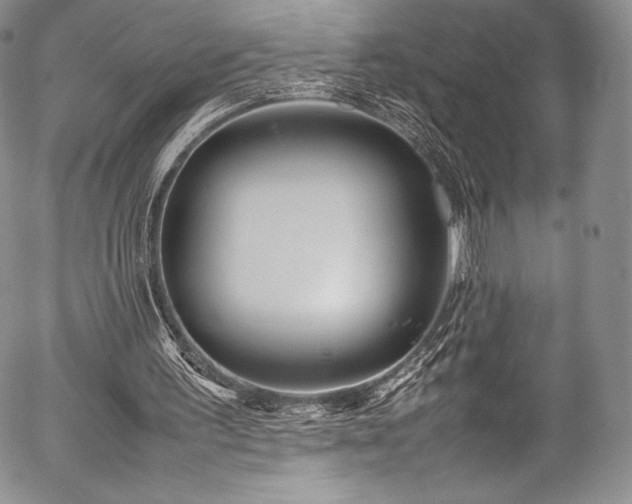 X0000054470195200508011510