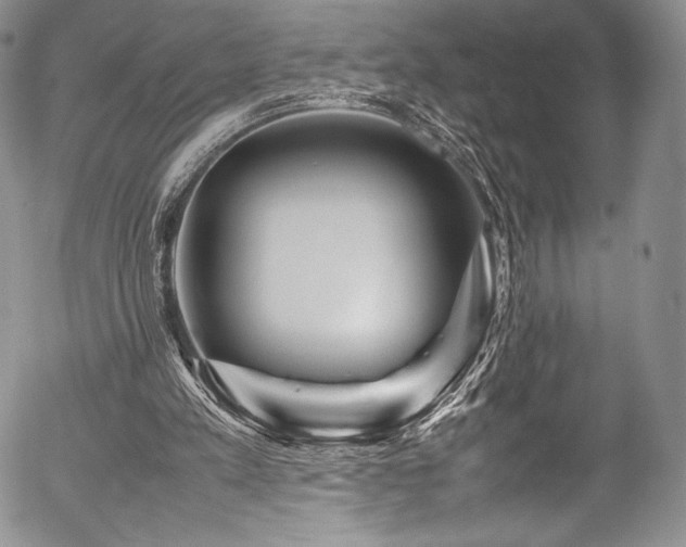 X0000054470197200508011510