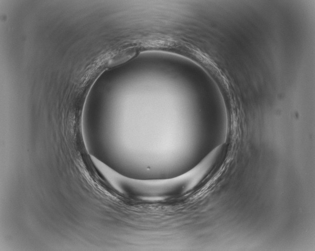 X0000054470201200508011510
