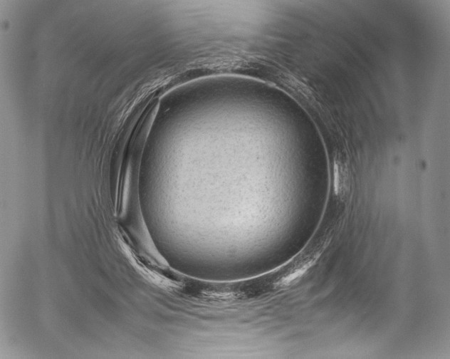 X0000054470205200508011510