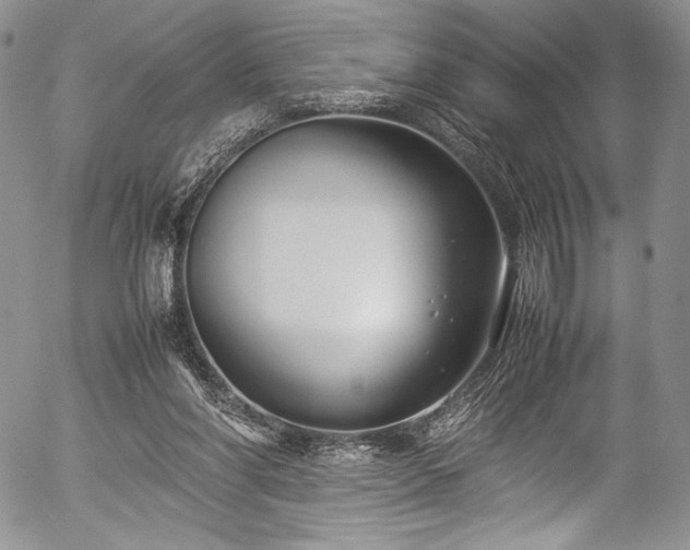 X0000054470206200508011510