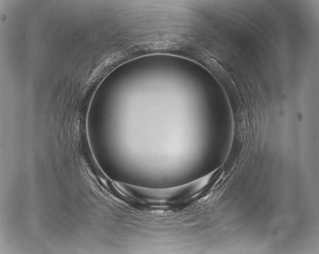 X0000054470207200508011510
