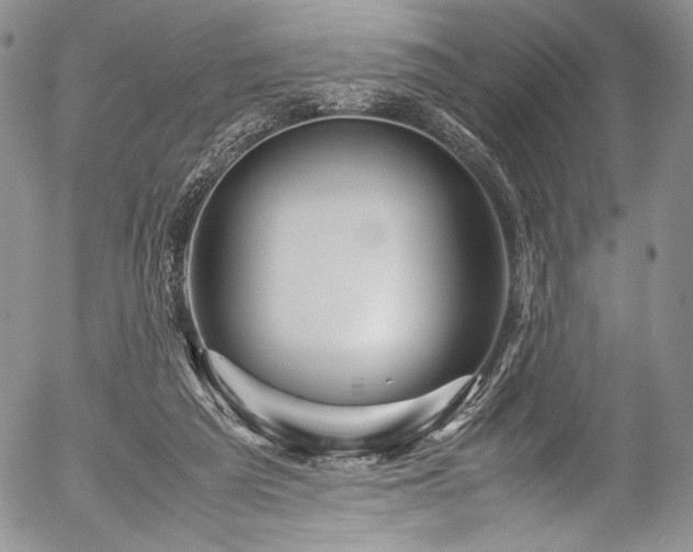 X0000054470209200508011510