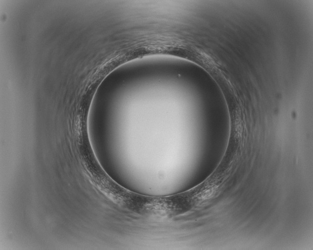 X0000054470211200508011510