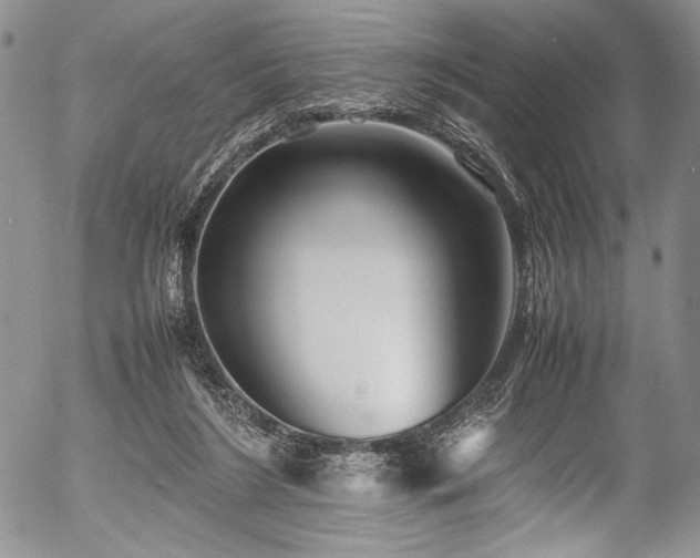 X0000054470212200508011510