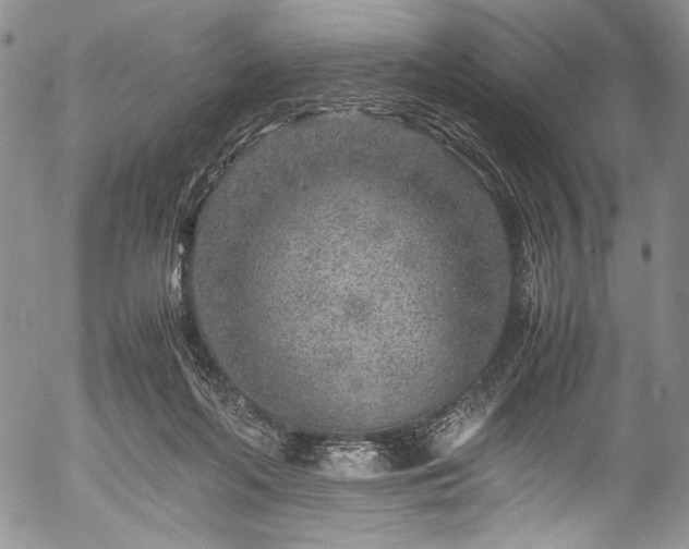 X0000054470214200508011510