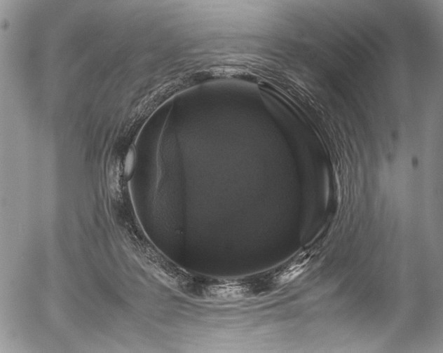 X0000054470219200508011510