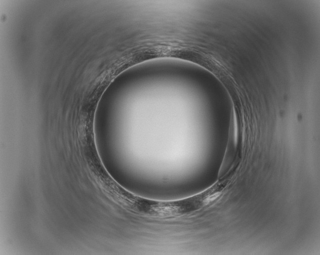 X0000054470221200508011510