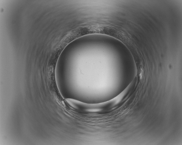 X0000054470229200508011509