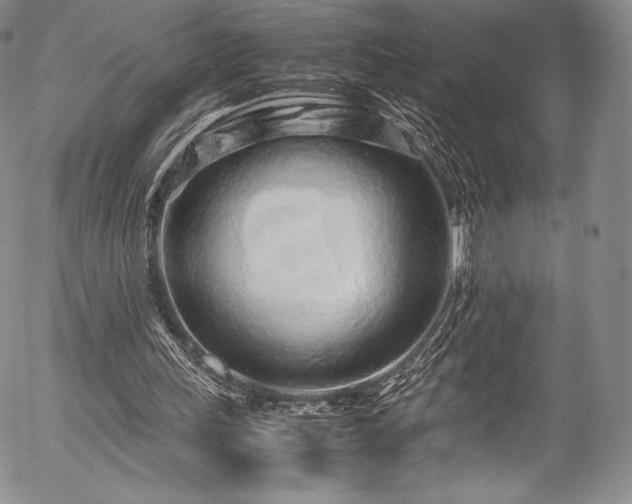 X0000054470243200508011508