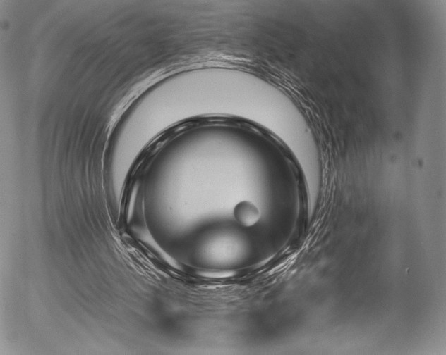 X0000054470244200508011508