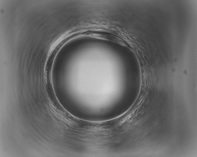 X0000054470246200508011508