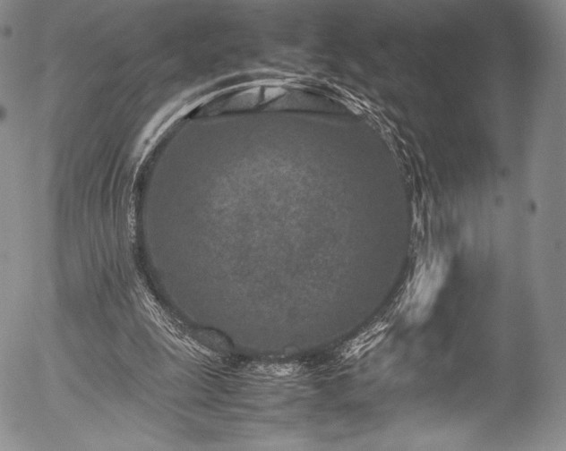 X0000054470247200508011508