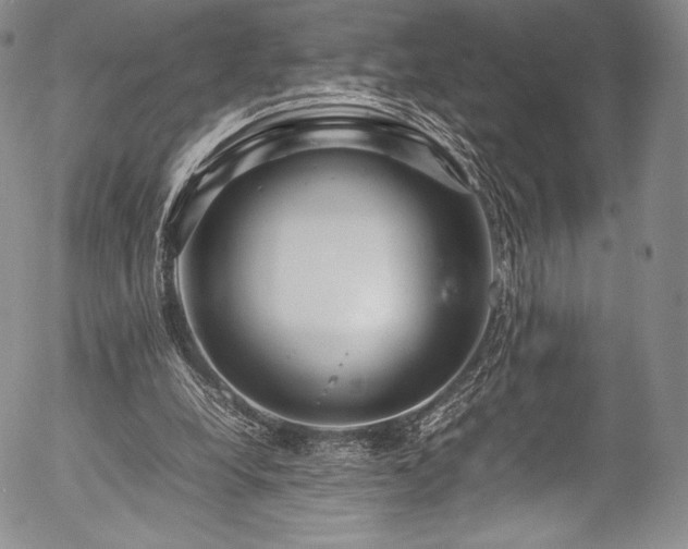 X0000054470248200508011509