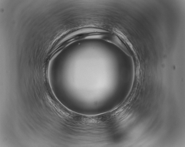X0000054470249200508011509
