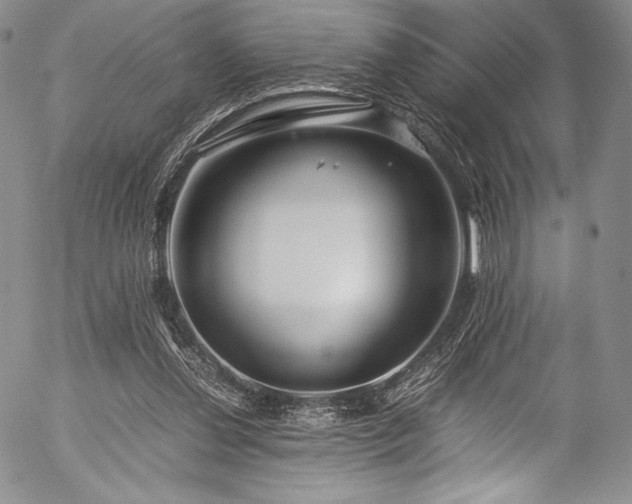 X0000054470252200508011509