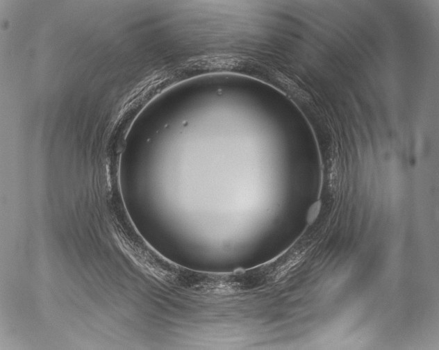X0000054470254200508011509