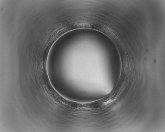 X0000054470259200508011509