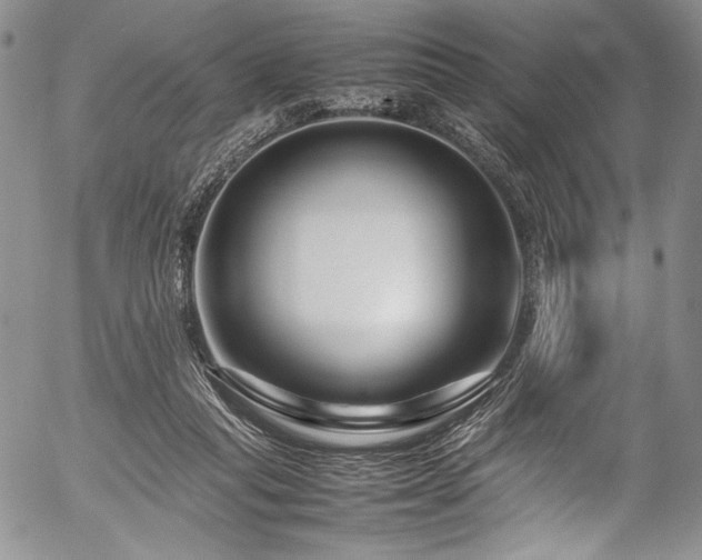 X0000054470261200508011509