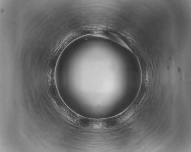 X0000054470264200508011509