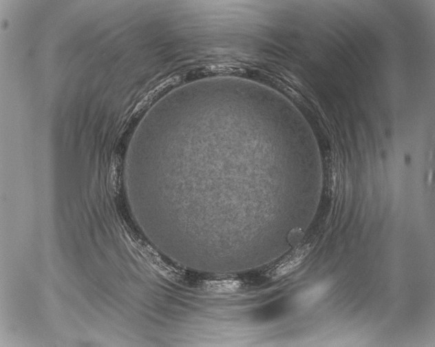 X0000054470266200508011509