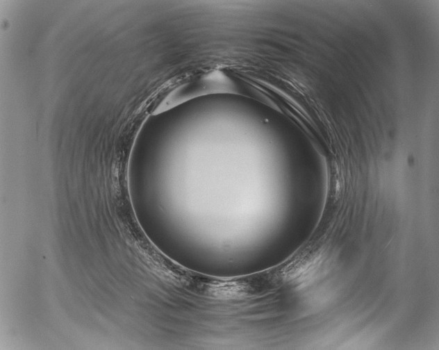 X0000054470269200508011509