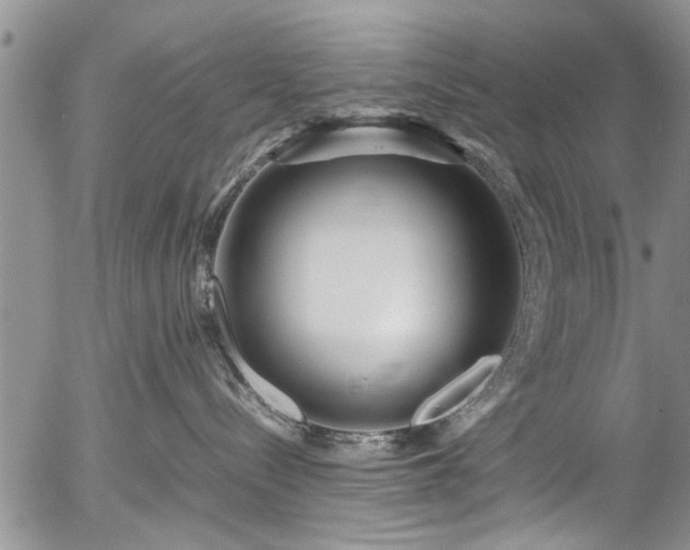 X0000054470288200508011509