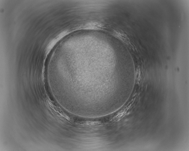 X0000054470292200508011508
