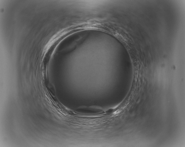 X0000054470295200508011508