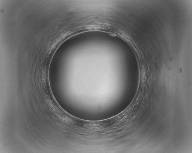 X0000054470297200508011508
