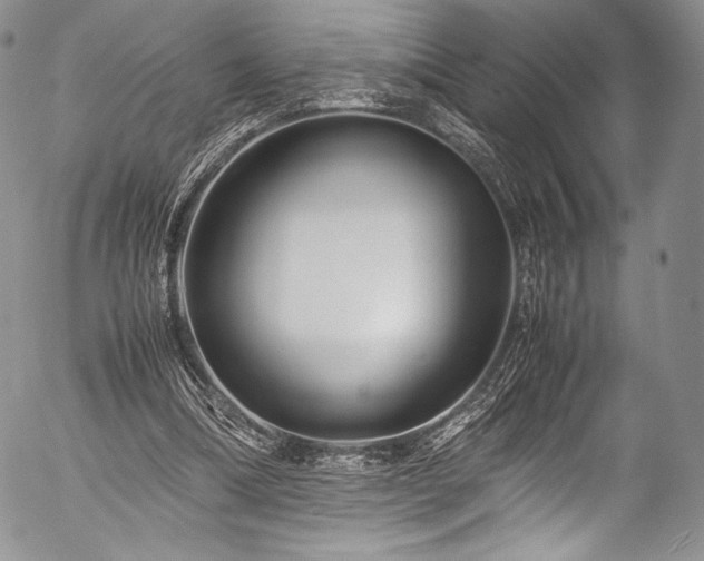 X0000054470298200508011508