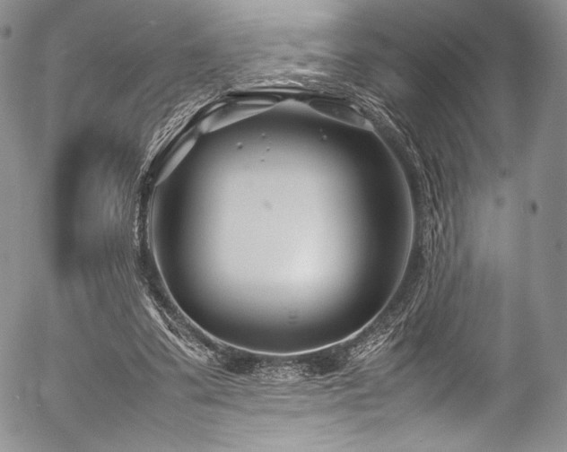 X0000054470299200508011508