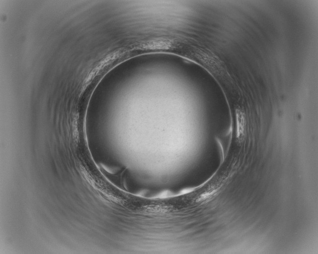 X0000054470300200508011508