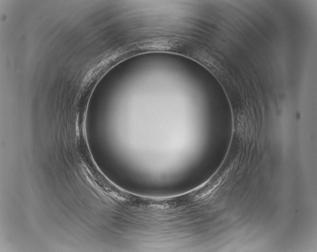 X0000054470302200508011508