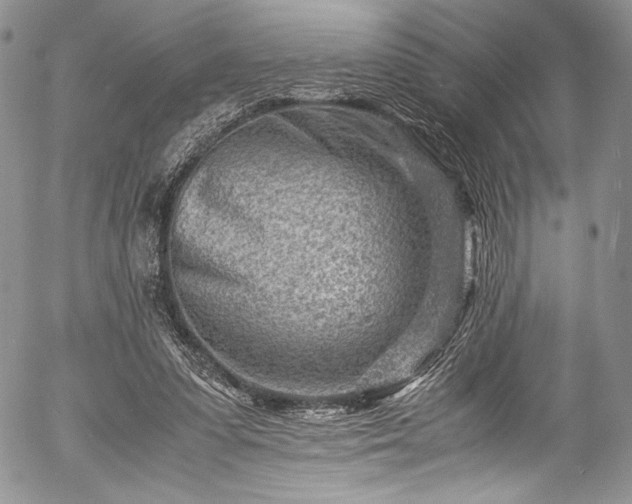 X0000054470303200508011508