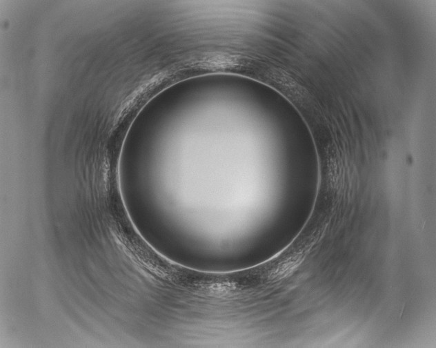 X0000054470304200508011508