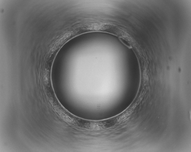 X0000054470305200508011508
